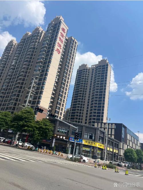 從貴港到全國 1994年始的集團發展之路與多元產業布局